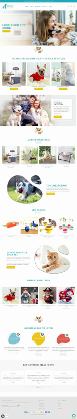 shopify website design 13+.pdf