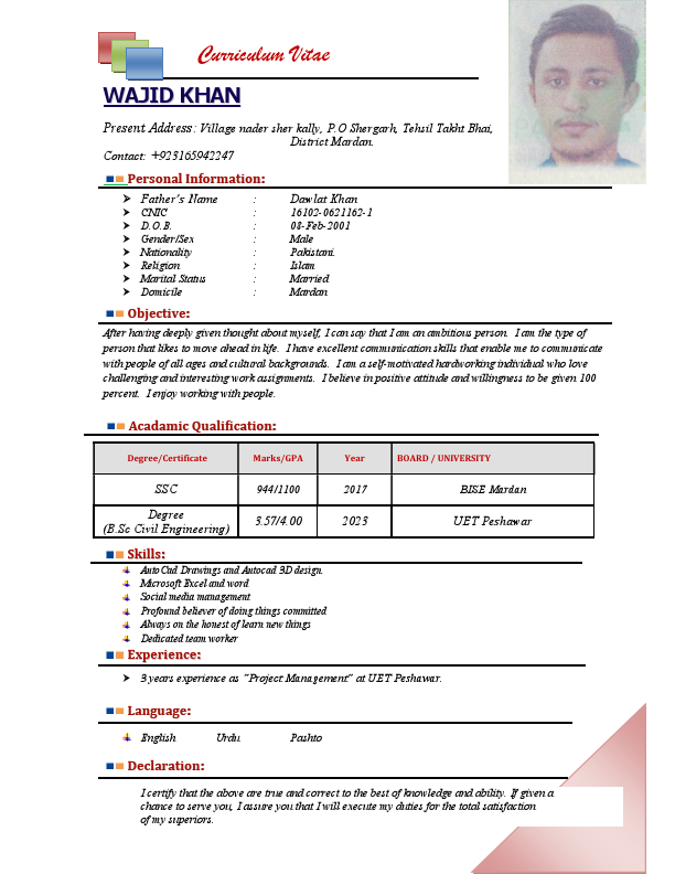 Wajid CV.pdf