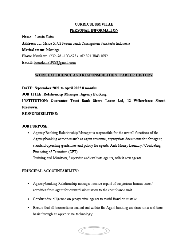 CURRICULUM VITAE.pdf