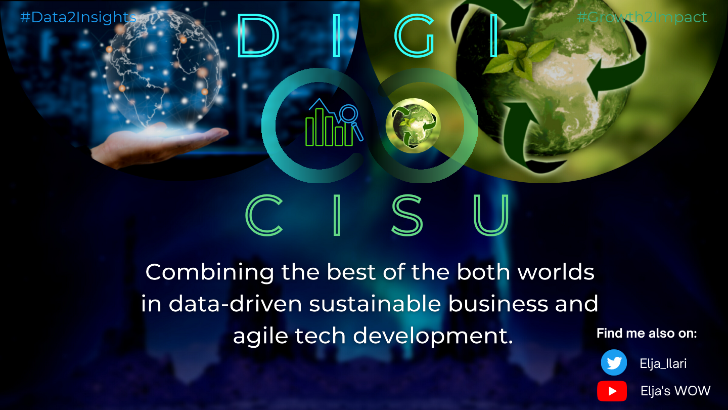 Who is behind DIGICISU & SCC Services Long.pdf