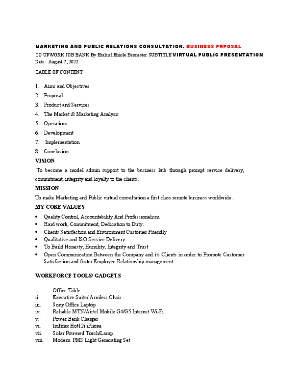 Business Virtual Consultation Proposal Plan in Upwork.pdf