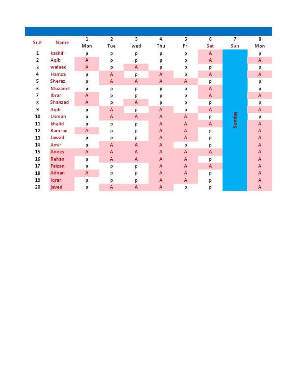 ATTANDENCE SHEET.pdf
