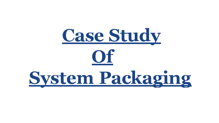 System_Packaging_Website_Development_Portfolio.pdf