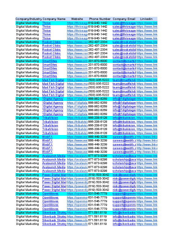 _Web Design Agencies .pdf