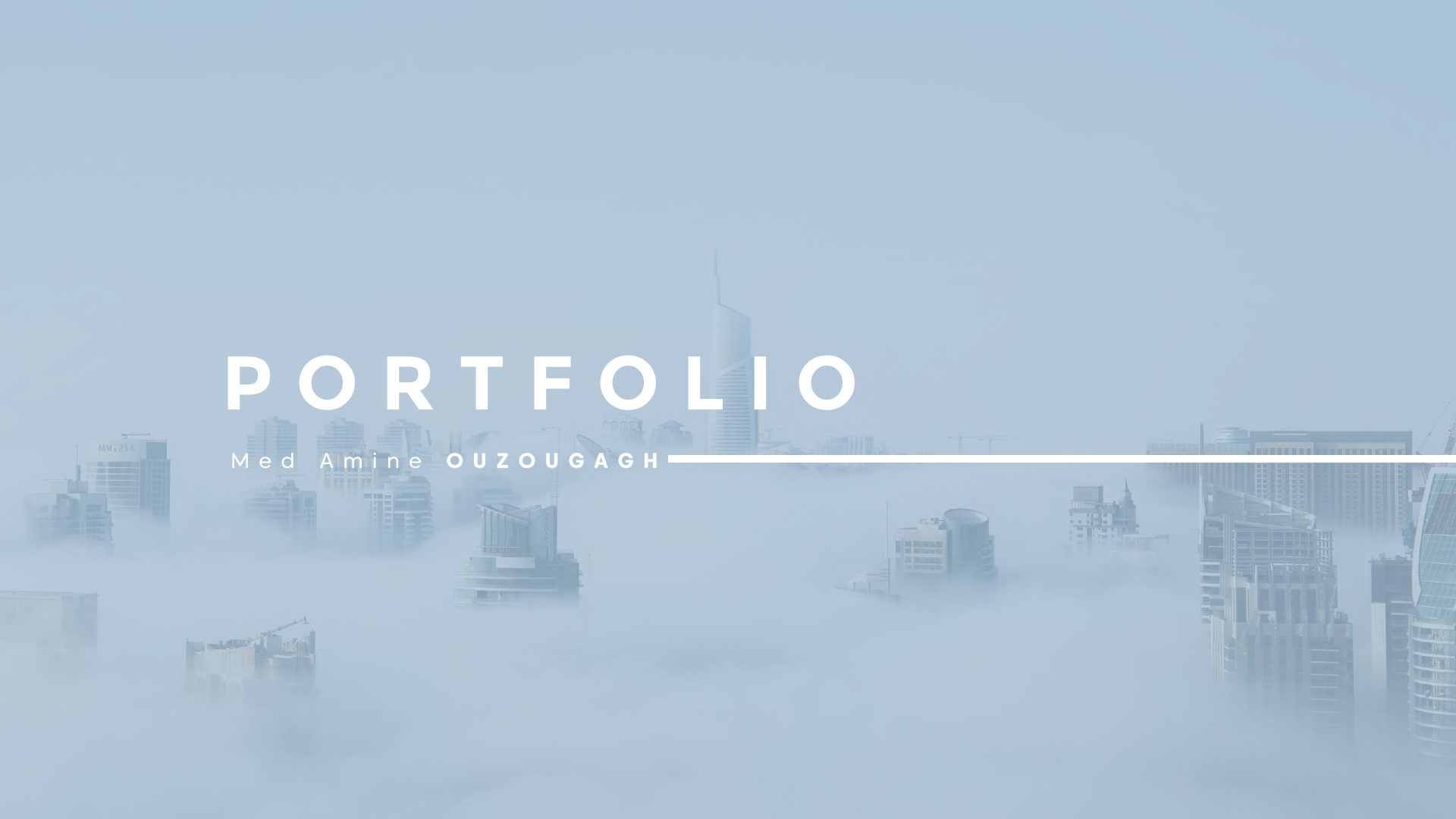 PORTFOLIO.pdf