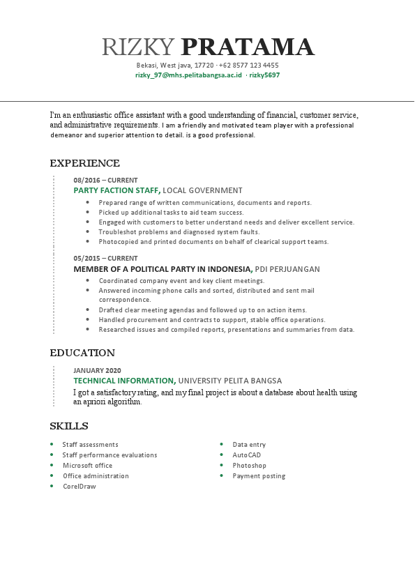 cv rizky pratama.pdf