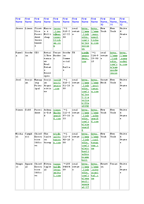 Real Estate Company in US.pdf
