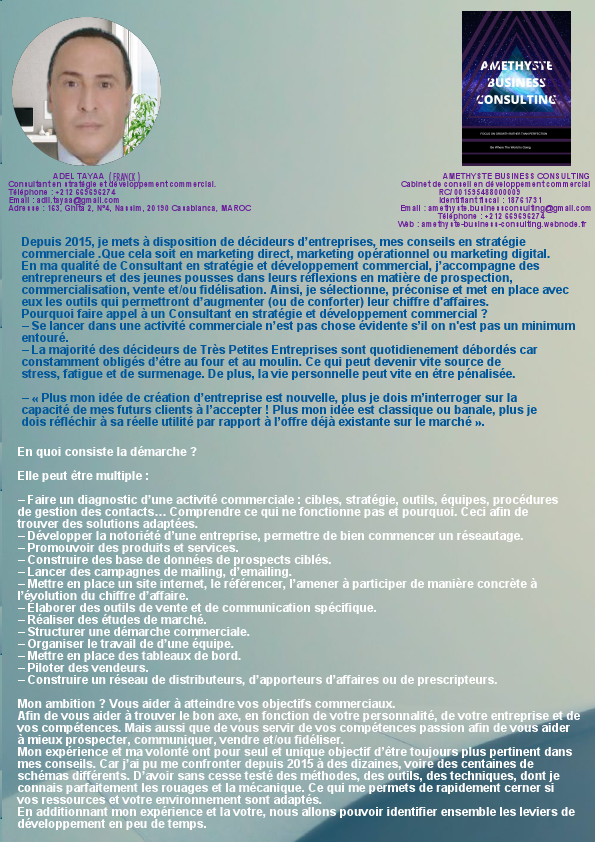 CONSULTANT (1).pdf