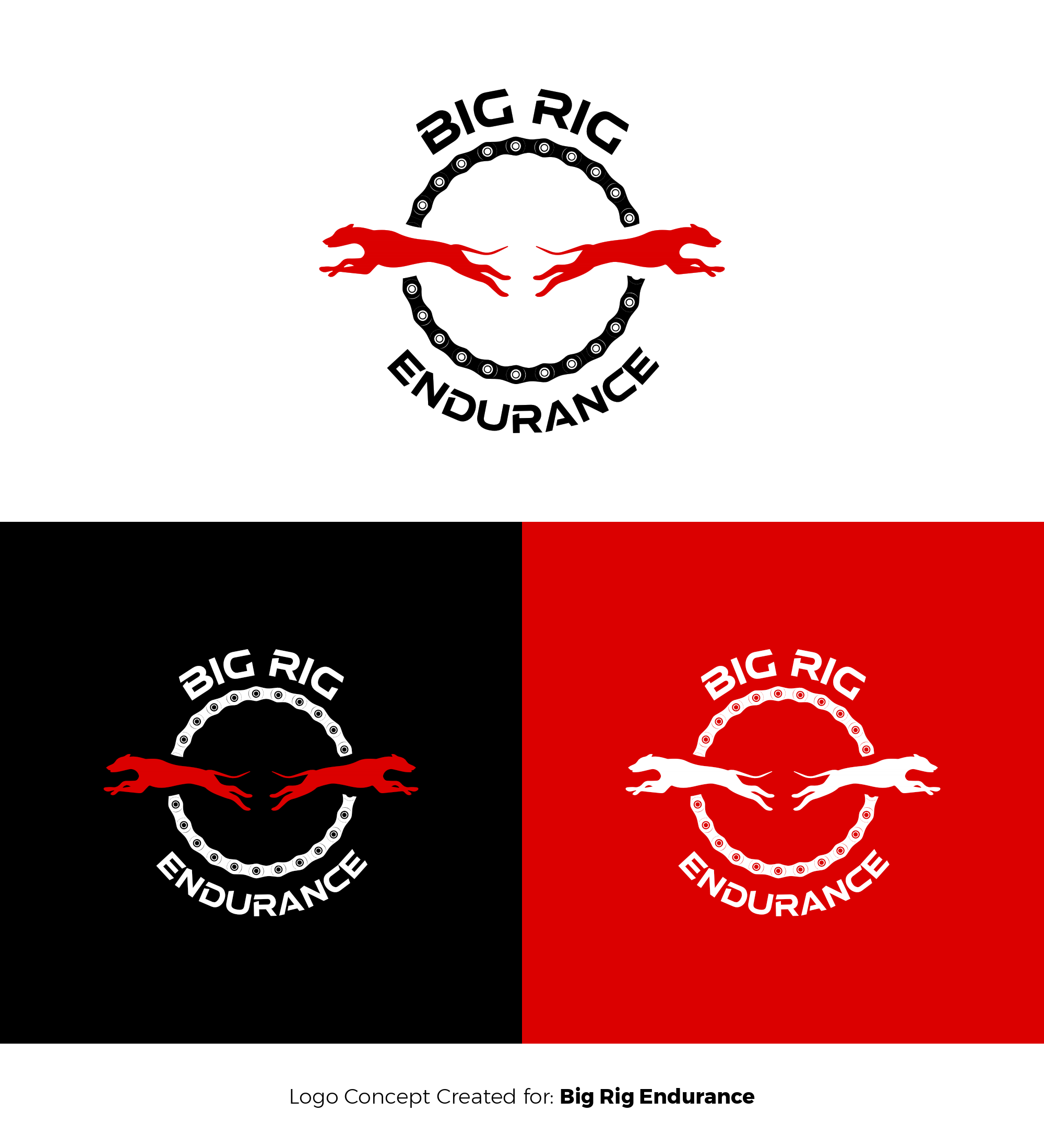 Big Rig Endurance Logo Concepts.pdf