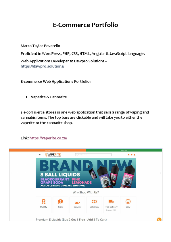 E-Commerce Portfolio PDF.pdf