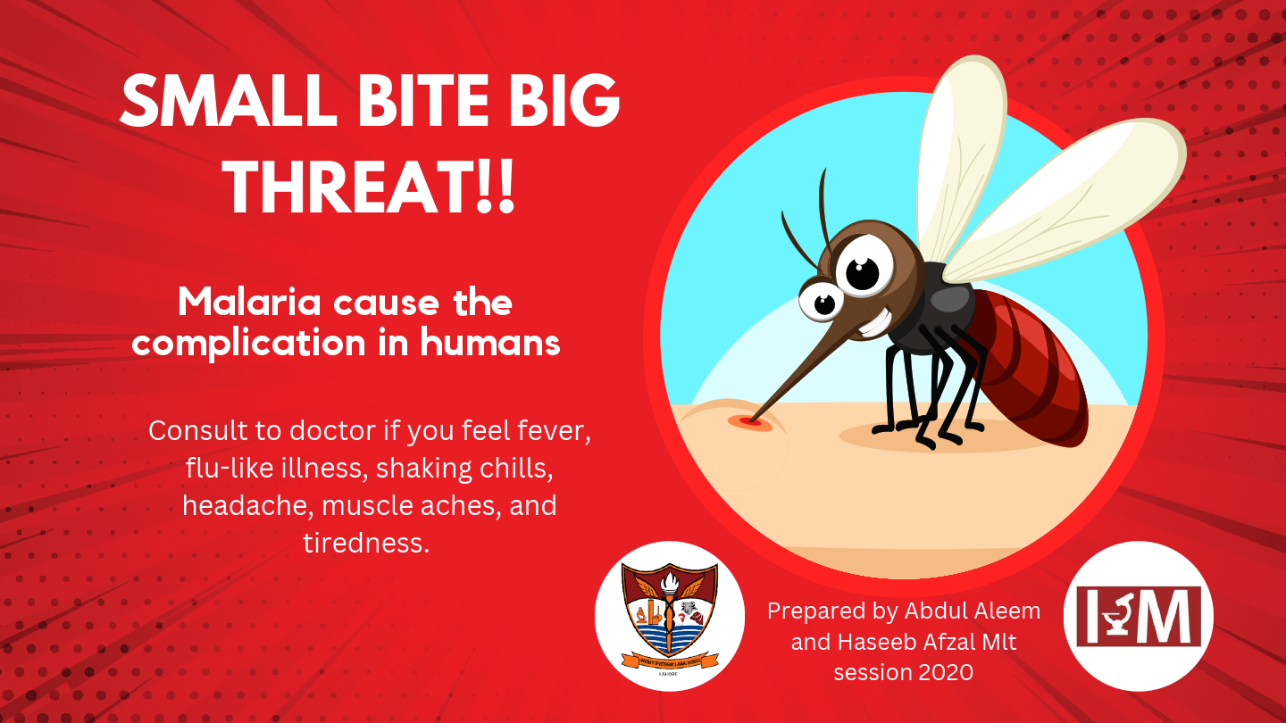 SMALL BITE BIG THREAT!!.pdf