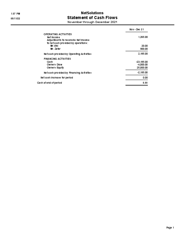 NetSolutions Cash Flow Statement.pdf