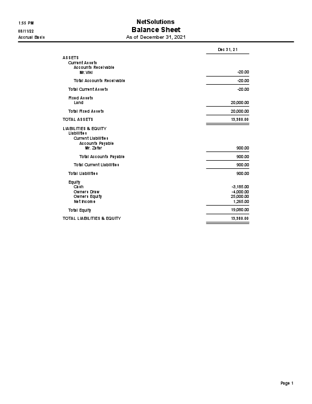 NET Solutions Balance sheet.pdf