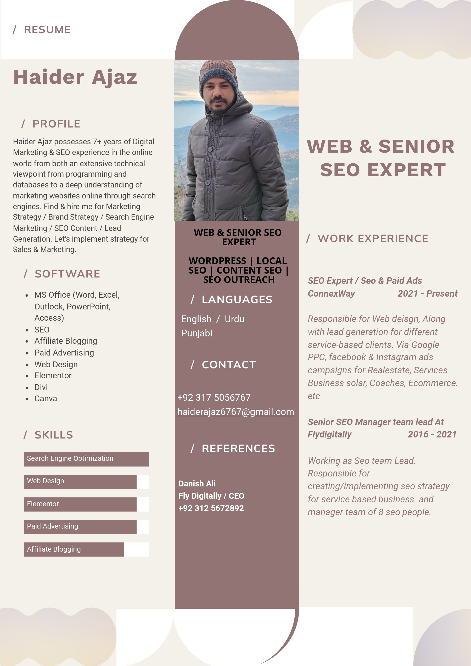 Seo Cv Haider ajaz.pdf