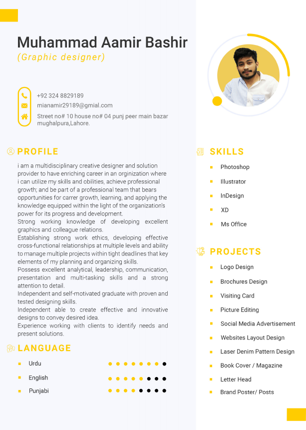 Aamir Bashir C.V.pdf