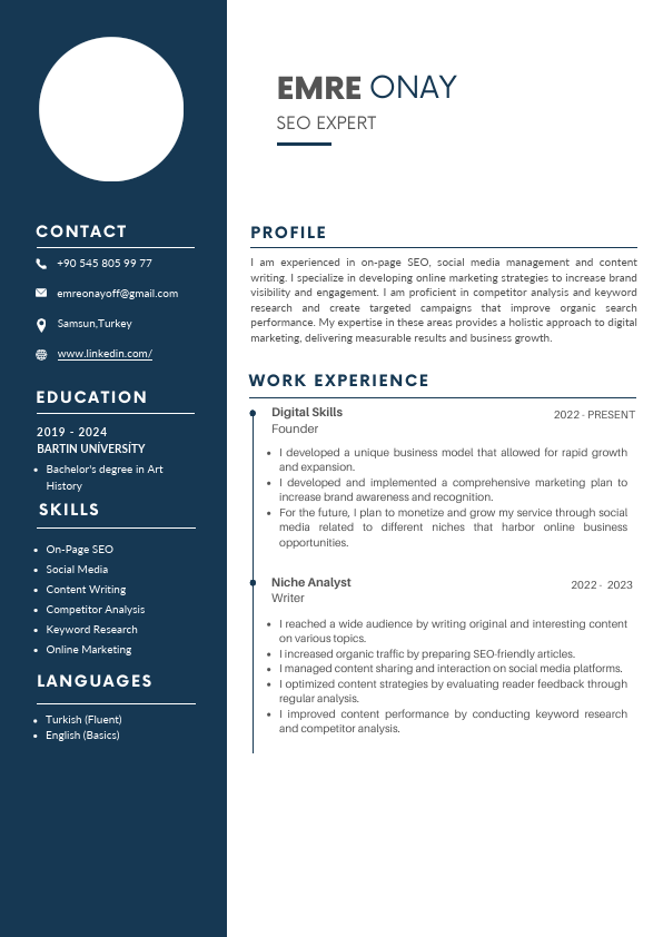 EMRE ONAY İNGİLİZCE CV.pdf