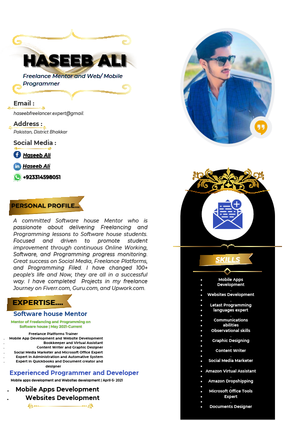 Haseeb Ali (CV) (2)_compressed.pdf