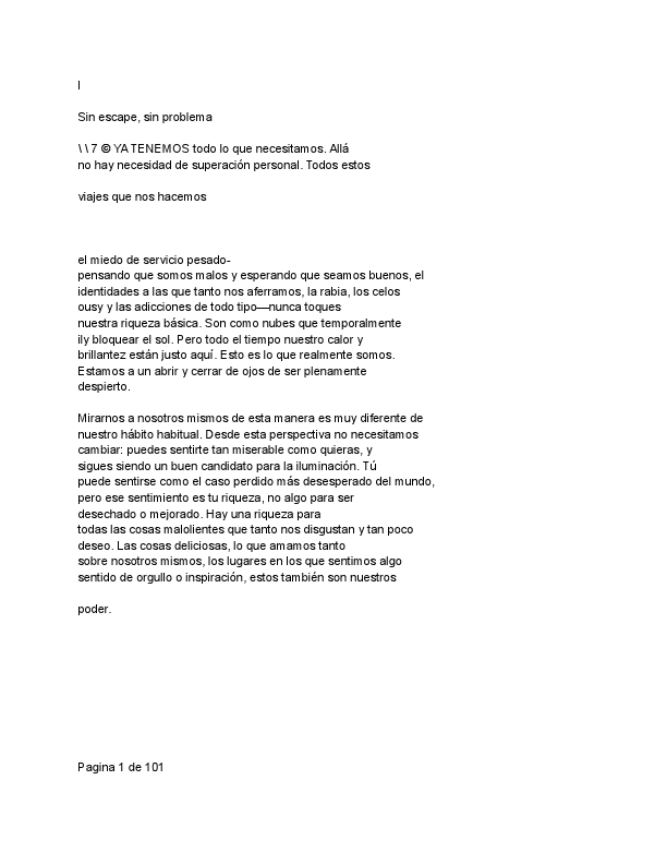 Spanish Translated copy of Untitled document (1).pdf