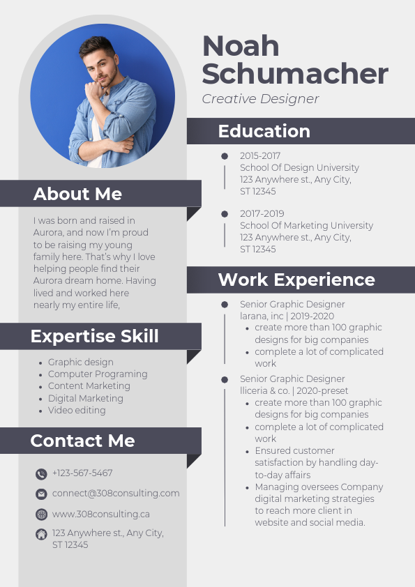 Professional CV Resume.pdf