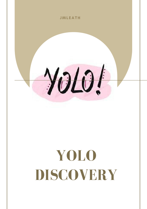 YOLO WORKBOOK (1).pdf