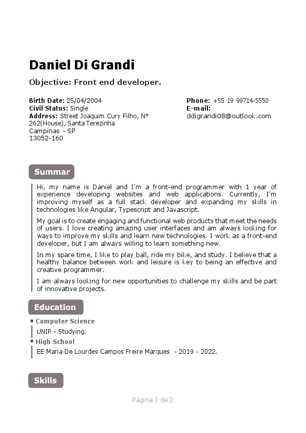 Meu curriculo em inglês.pdf