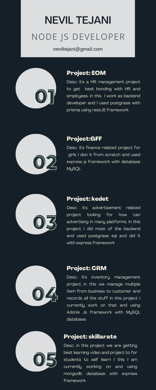 N Project Portfolio.pdf