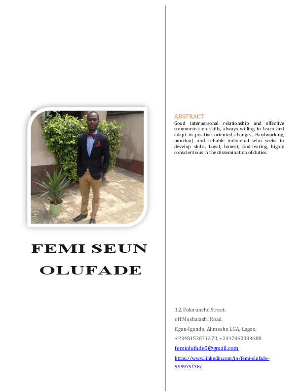 FEMI SEUN OLUFADE CV.pdf