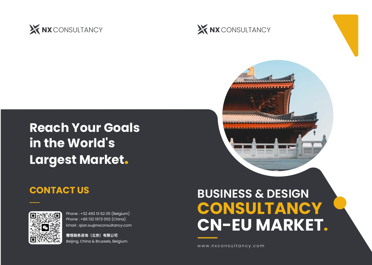 NX Consultancy - Company Brochure.pdf