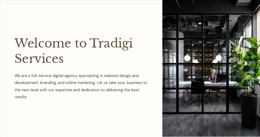 Welcome-to-TraDigi-Services.pdf