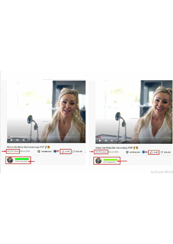 YouTube Portfolio.pdf