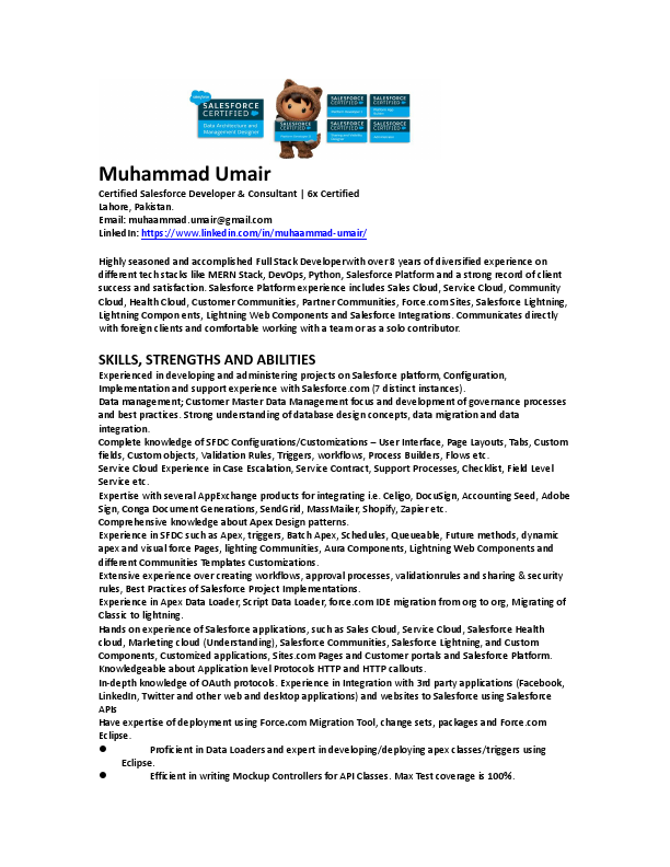 Muhammad Umair (Updated CV).pdf