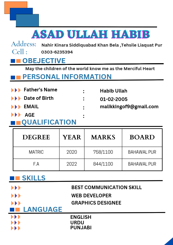 Blue Light Blue Color Blocks Flight Attendant CV (2) (1).pdf