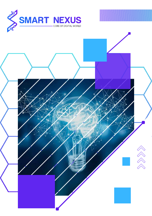 company profile thesmartnexus (1).pdf