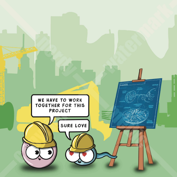 My Portfolio - realistic_2_2.pdf