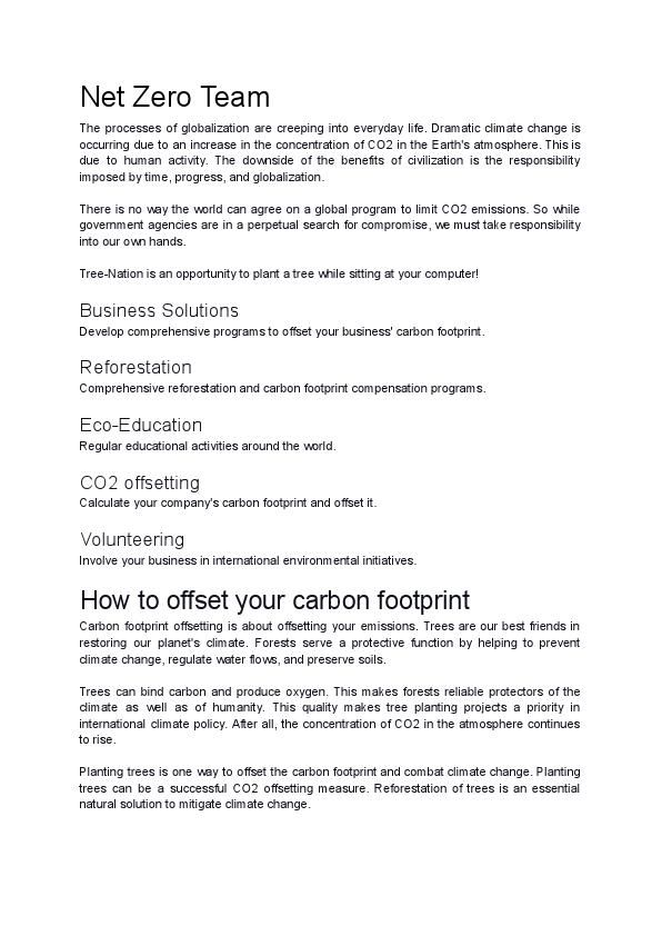 Net Zero Team.pdf