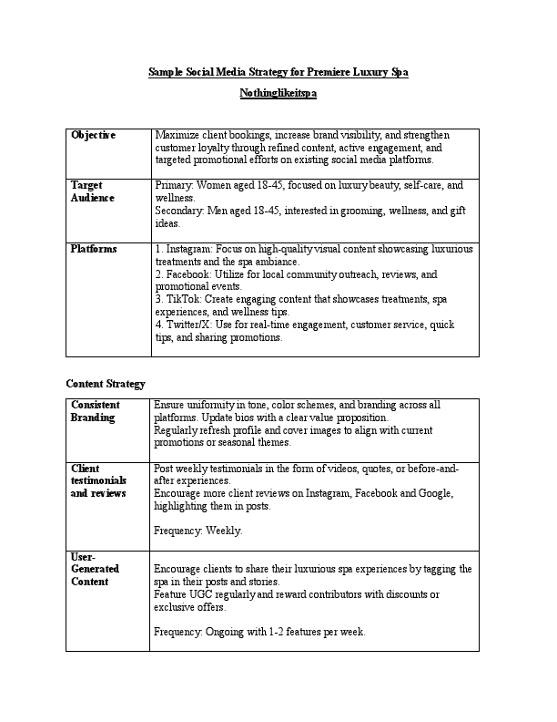 Sample Social Media Strategy.pdf