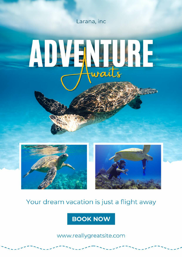 social media posts.pdf