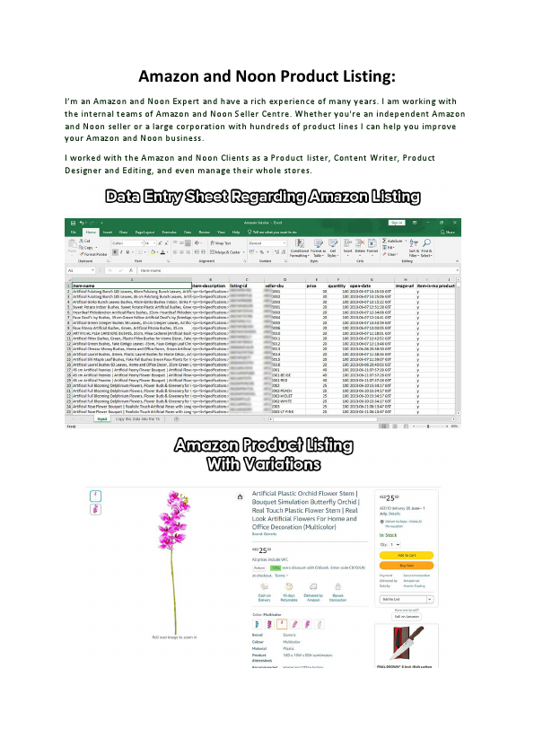 Amazon and Noon Product Lister.pdf