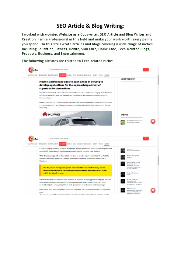 SEO Blog Writer and Copywriter.pdf