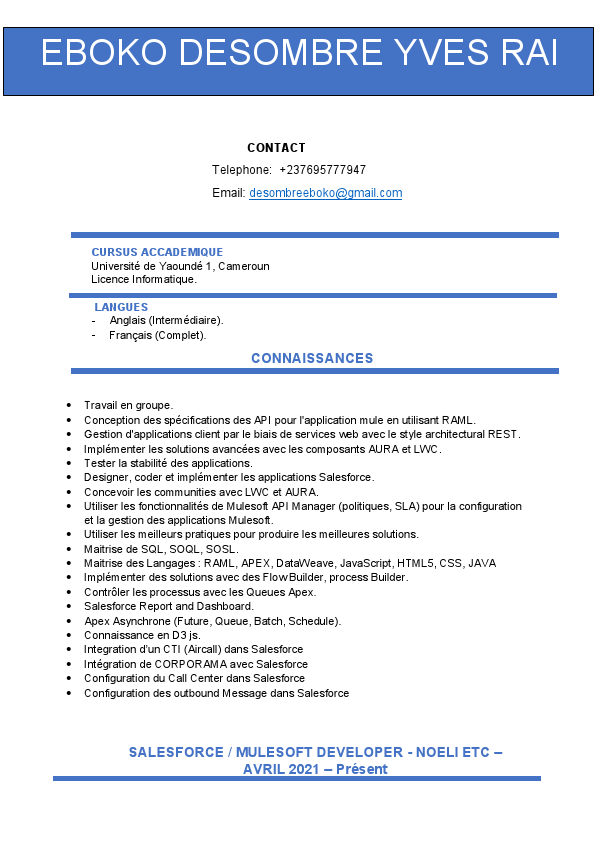 cv-EBOKO-Francais.pdf