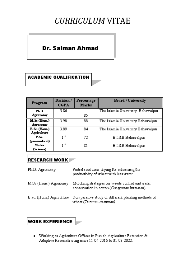 CV Salman Ahmad.pdf