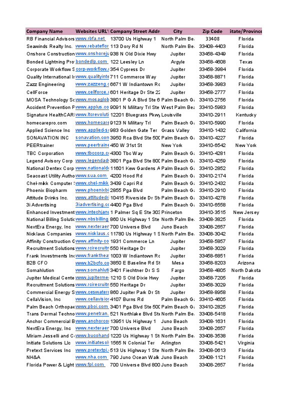 Portfolio of Data entry-Lead Generation-Data Mining-Linkedin  etc (1).pdf
