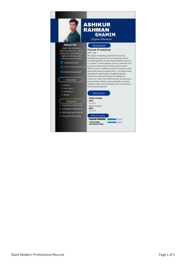 Professional Job Resume.pdf