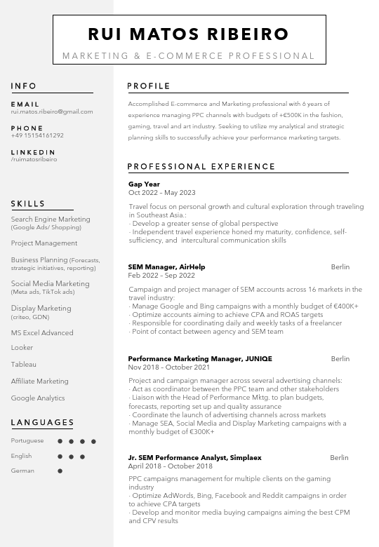 CV_Rui Matos Ribeiro.pdf