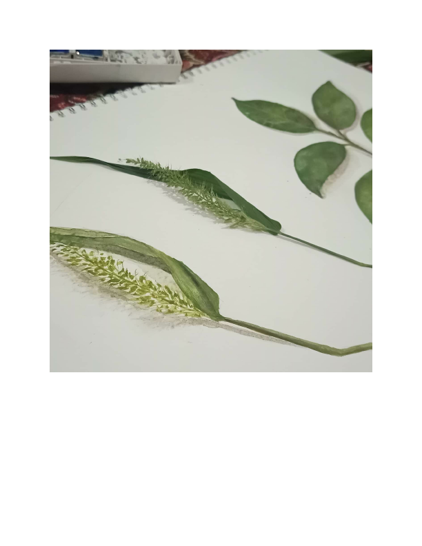 yusra jouhar art.pdf