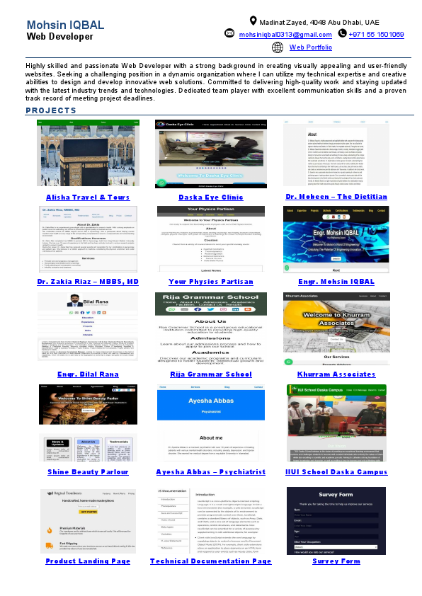 CV.Mohsin-Web Development.pdf