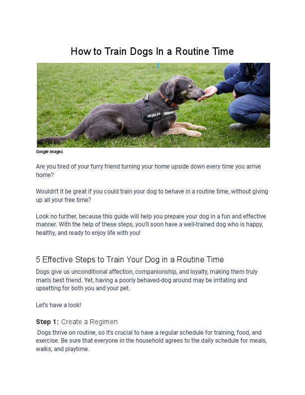 How to Train Dogs in a Routine Time.pdf