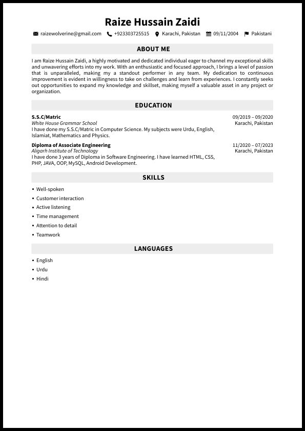 Raize_Hussain Zaidi_Resume_24-10-2023-17-39-20.pdf