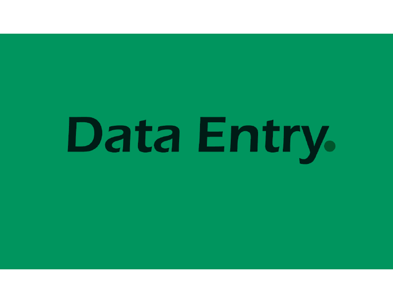 data entry.pdf