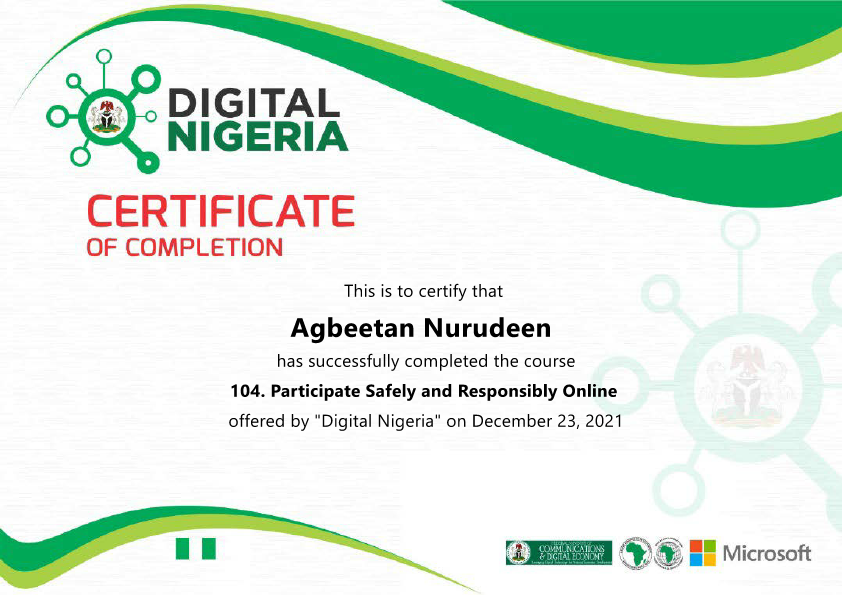 DIGITAL NIGERIA PSR.pdf